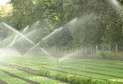 Cardiff Southlandscaping-water-management-and-drainage-17.jpg; ?>